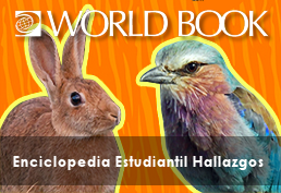 World Book The optimal beginner’s Spanish-language reference tool offering all the best elements of World Book Kids