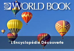 Colorful Hot Air Balloons in the air with text World Book World Book